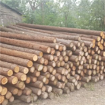 3米杉木桩